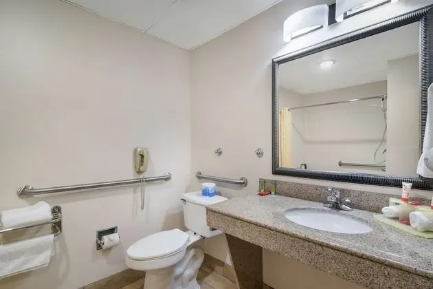 Standard Oda, 1 En Büyük (King) Boy Yatak, Engellilere Uygun, Sigara İçilmez (Roll in Shower)