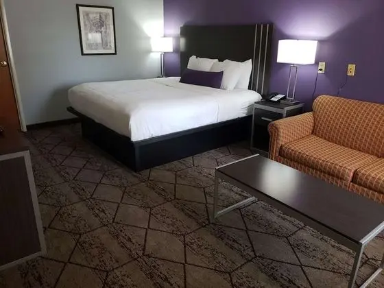 Standard Oda, 1 En Büyük (King) Boy Yatak, Engellilere Uygun, Sigara İçilmez (Walk-in Shower)