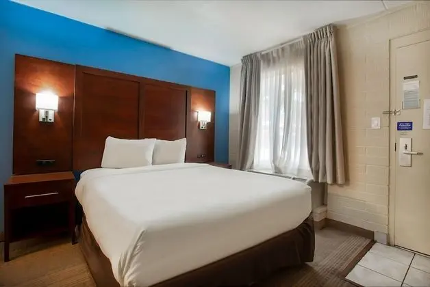 Deluxe Oda, 1 Büyük (Queen) Boy Yatak, Sigara İçilmez, Buzdolabı ve Mikrodalga