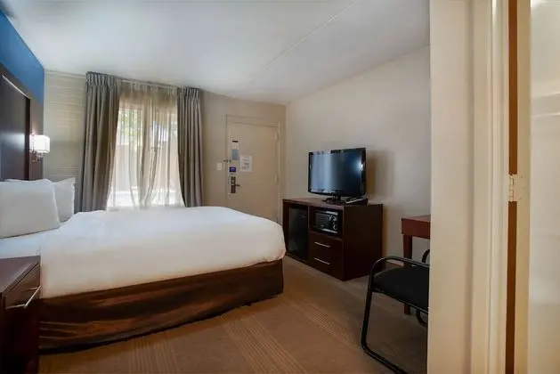 Deluxe Oda, 1 Büyük (Queen) Boy Yatak, Sigara İçilmez, Buzdolabı ve Mikrodalga