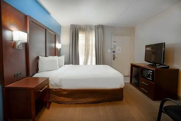 Deluxe Oda, 1 Büyük (Queen) Boy Yatak, Sigara İçilmez, Buzdolabı ve Mikrodalga