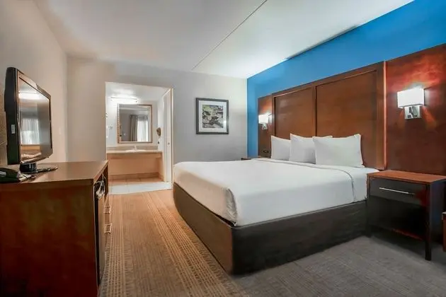 Deluxe Oda, 1 En Büyük (King) Boy Yatak, Sigara İçilmez