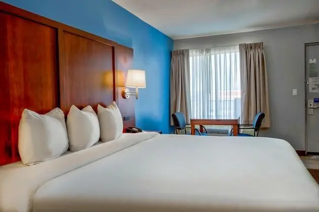 Deluxe Oda, 1 En Büyük (King) Boy Yatak, Sigara İçilmez