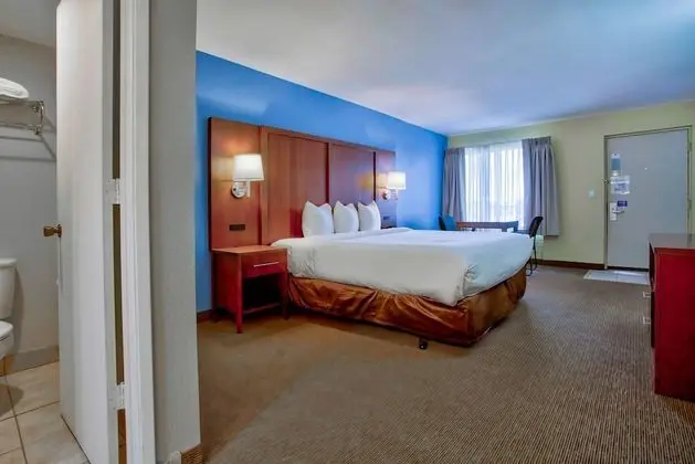 Deluxe Oda, 1 En Büyük (King) Boy Yatak, Sigara İçilmez