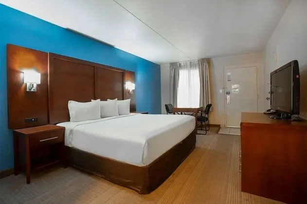 Deluxe Oda, 1 En Büyük (King) Boy Yatak, Sigara İçilmez