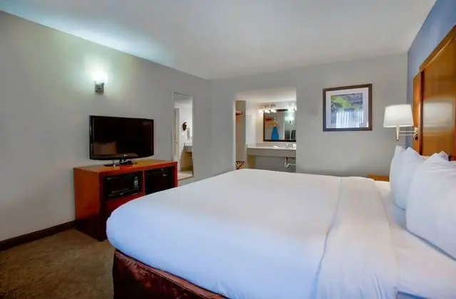 Deluxe Oda, 1 En Büyük (King) Boy Yatak, Sigara İçilmez