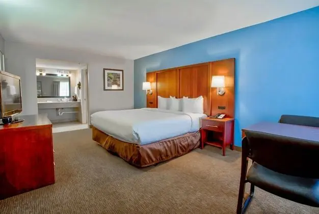 Deluxe Oda, 1 En Büyük (King) Boy Yatak, Sigara İçilmez