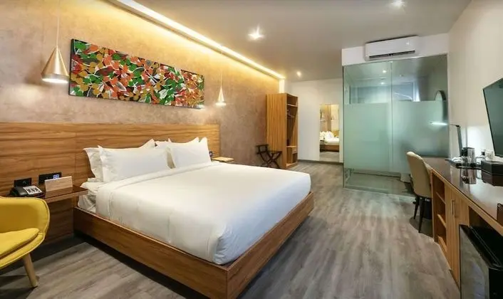 Deluxe Oda, 1 En Büyük (King) Boy Yatak, Sigara İçilmez (Shower Only)