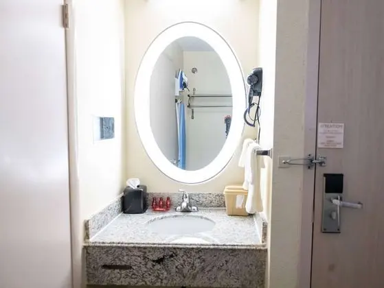 Oda, 1 En Büyük (King) Boy Yatak, Engellilere Uygun, Sigara İçilmez (Mobility, Tub w/Grab Bars)