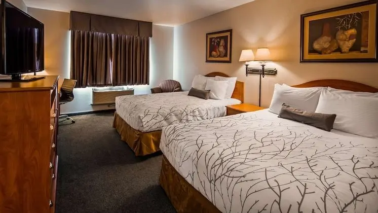 Standard Oda, 2 Büyük (Queen) Boy Yatak, Engellilere Uygun (Pet Friendly;with Sofabed)