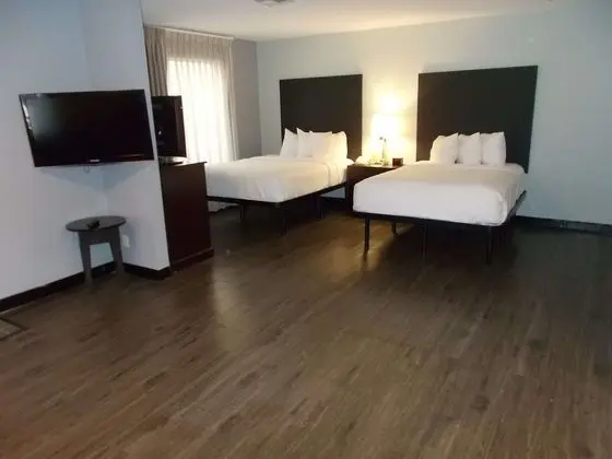 Süit, Birden Çok Yatak, Engellilere Uygun, Mutfak (with Sofabed)