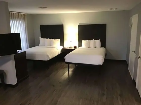 Süit, Birden Çok Yatak, Engellilere Uygun, Mutfak (with Sofabed)