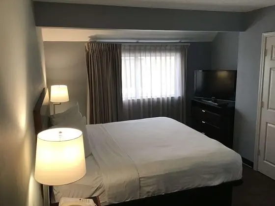 Süit, Birden Çok Yatak, Sigara İçilmez, Mutfak (with Sofabed)