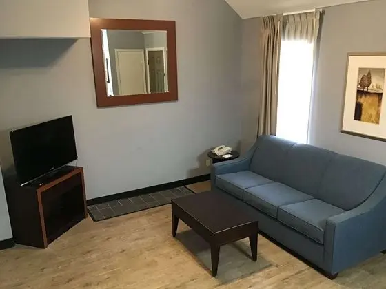 Süit, Birden Çok Yatak, Sigara İçilmez, Mutfak (with Sofabed)