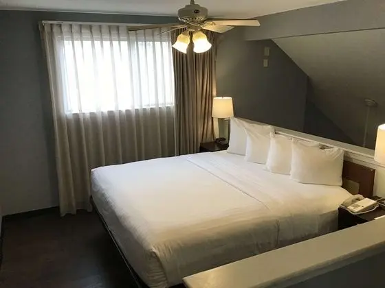 Süit, Birden Çok Yatak, Sigara İçilmez, Mutfak (with Sofabed)