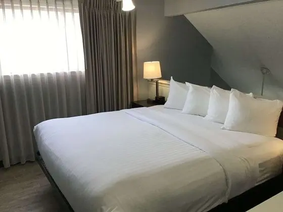 Süit, Birden Çok Yatak, Sigara İçilmez, Mutfak (with Sofabed)