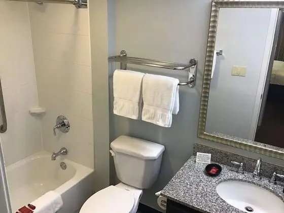 Süit, Birden Çok Yatak, Sigara İçilmez, Mutfak (with Sofabed)
