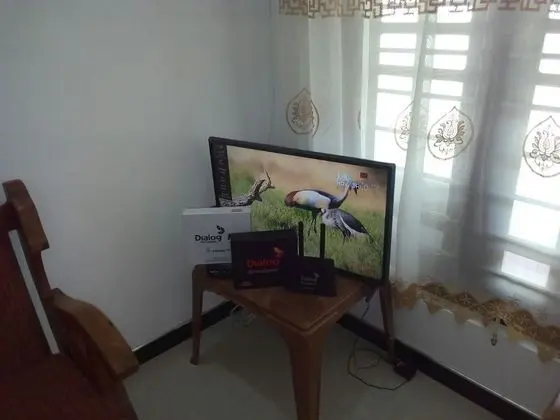 Classic Üç Kişilik Oda, 1 En Büyük (King) Boy Yatak, Bahçe Manzaralı