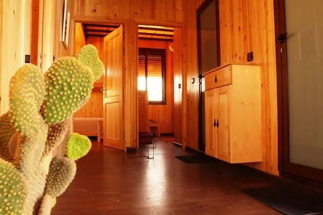 Gallery Ortak Ranzalı Oda, Havuz Manzaralı (Two Bunk Beds)