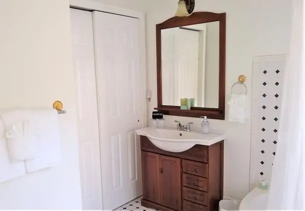 Comfort Büyük Yataklı Tek Kişilik Oda, Özel Banyo (Tropical Garden)