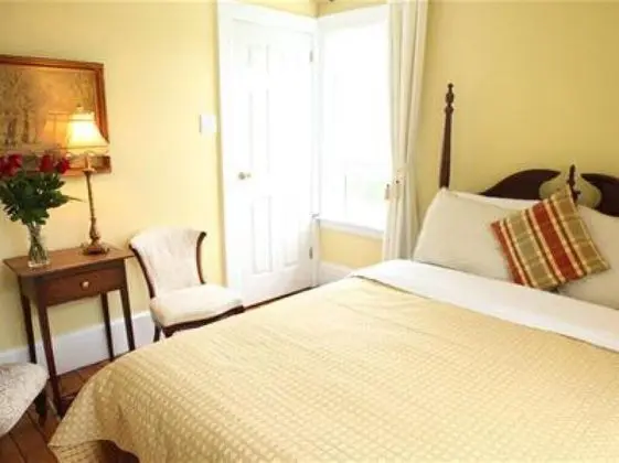 Standard Tek Büyük Yataklı Oda, Banyolu/Duşlu (Buttercup Room)