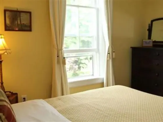Standard Tek Büyük Yataklı Oda, Banyolu/Duşlu (Buttercup Room)
