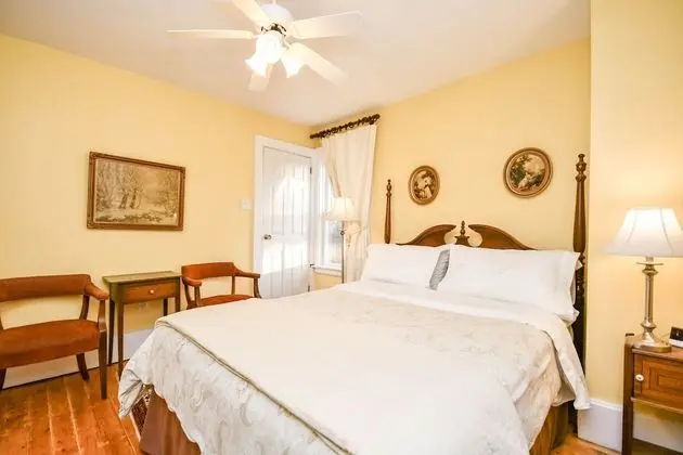 Standard Tek Büyük Yataklı Oda, Banyolu/Duşlu (Buttercup Room)
