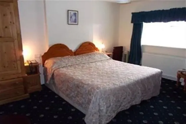 Deluxe Tek Büyük Yataklı Oda, 1 Çift Kişilik Yatak