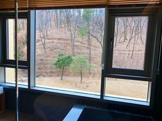 Mountain view Junior Suite Double