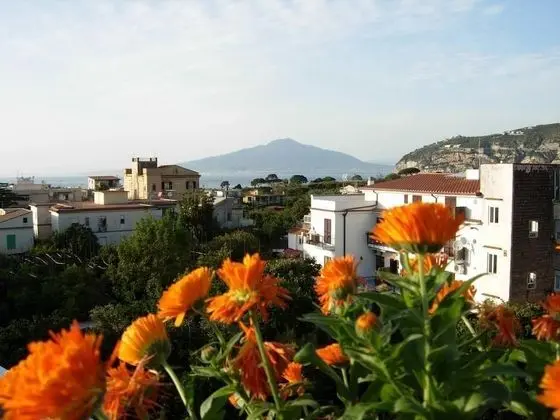 Classic Tek Büyük veya İki Ayrı Yataklı Oda, Balkon, Bahçe Manzaralı