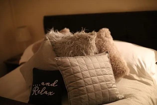 Comfort Tek Büyük Yataklı Oda, 1 Yatak Odası