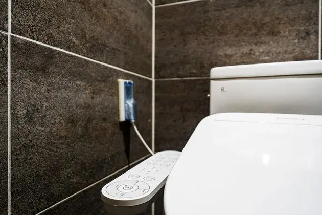 Design Süit, 1 Büyük (Queen) Boy Yatak, Sigara İçilmez, Şehir Manzaralı