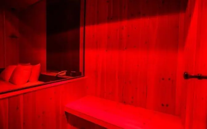 Oda (VIP Two Person Dry Sauna (Two Person )