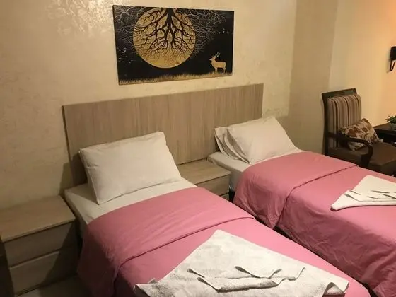 Comfort Tek Büyük veya İki Ayrı Yataklı Oda, 1 Çift Kişilik Yatak, Şehir Manzaralı