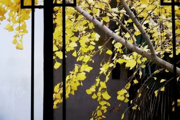 Classic Tek Büyük Yataklı Oda