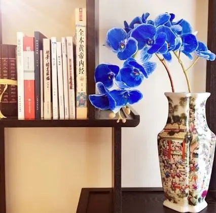 Traditional Villa, 2 Yatak Odası