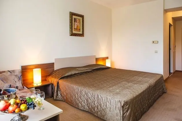 Classic Tek Büyük Yataklı Oda, Balkon, Park Manzaralı