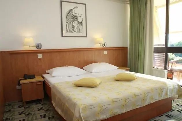 Standard Tek Büyük Yataklı Oda, Balkon