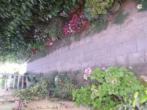 Standard Apart Daire, 2 Yatak Odası, Balkon, Denize Sıfır