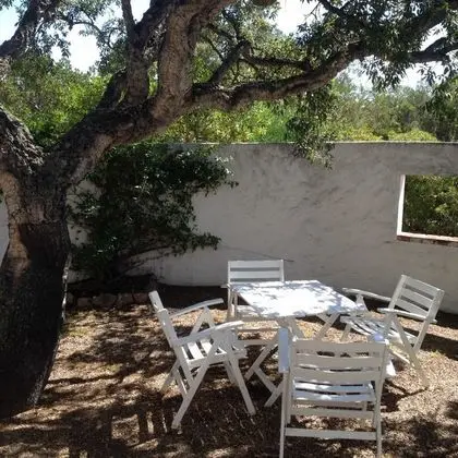 Deluxe Villa, 4 Yatak Odası, Havuz Kullanımı, Denize Sıfır