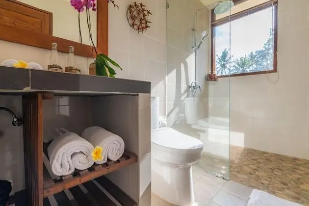 Executive Tek Büyük Yataklı Oda, Balkon