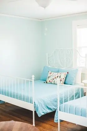 Tek Büyük Yataklı Oda, 2 Çift Kişilik Yatak, Özel Banyo (Camellia)