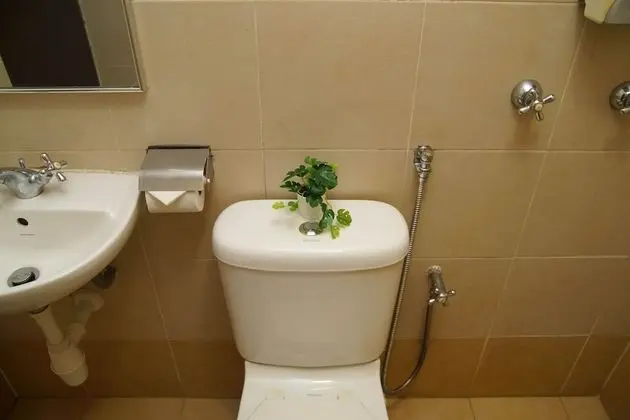 Deluxe Tek Büyük Yataklı Oda, 1 Çift Kişilik Yatak