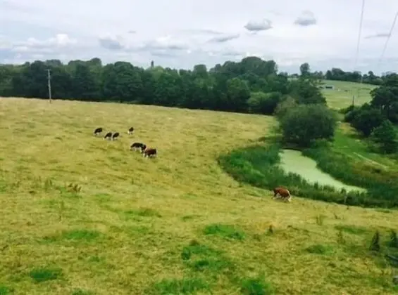 Tek Büyük Yataklı Oda, Banyolu/Duşlu (Bath&Shower, Country View)