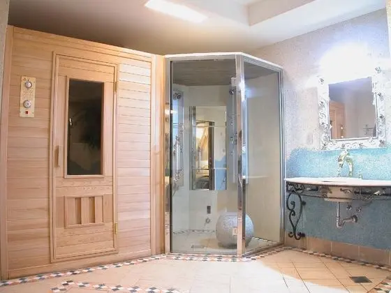 Premium Tek Büyük veya İki Ayrı Yataklı Oda, Özel Banyo