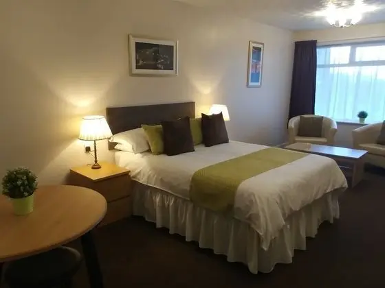 Tek Büyük Yataklı Oda, Banyolu/Duşlu (With Extra Facilities )