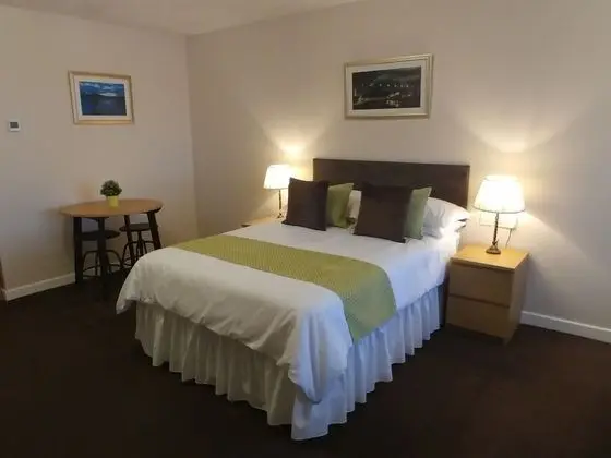 Tek Büyük Yataklı Oda, Banyolu/Duşlu (With Extra Facilities )