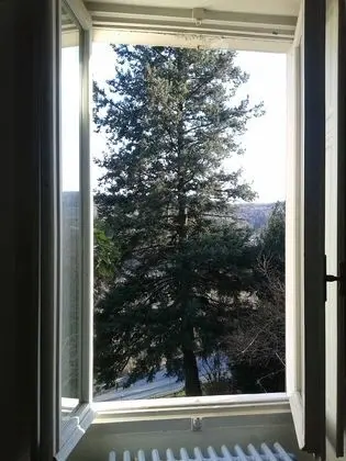 Panoramic Tek Büyük Yataklı Oda, 1 Büyük (Queen) Boy Yatak, Teras, Göl Manzaralı (Green Room)