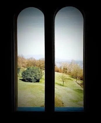 Panoramic Tek Büyük Yataklı Oda, 1 Büyük (Queen) Boy Yatak, Teras, Göl Manzaralı (Green Room)