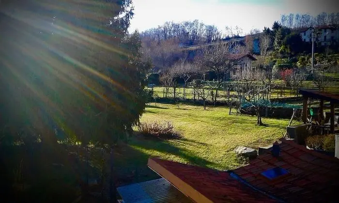 Standard Tek Büyük Yataklı Oda, 1 Büyük (Queen) Boy Yatak, Teras, Bahçe Manzaralı (White Room)